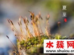 夏至吃安宫牛黄丸好吗 夏至为什么要吃安宫牛黄丸