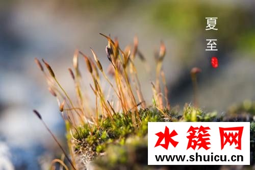 夏至吃安宫牛黄丸好吗