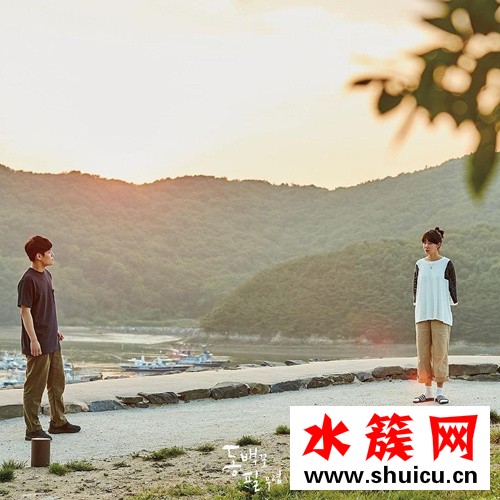 山茶花开时什么时候播