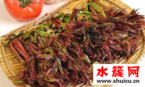 2019春分吃什么