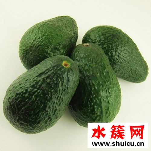 吃牛油果会过敏吗
