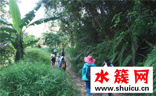 徒步能减肥吗