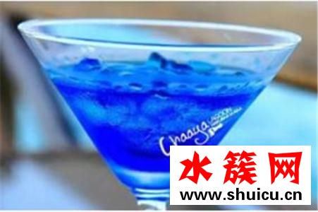 巴厘岛的蓝可乐多少钱一瓶
