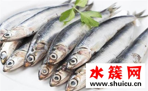 孕妇不能吃4种鱼的图片