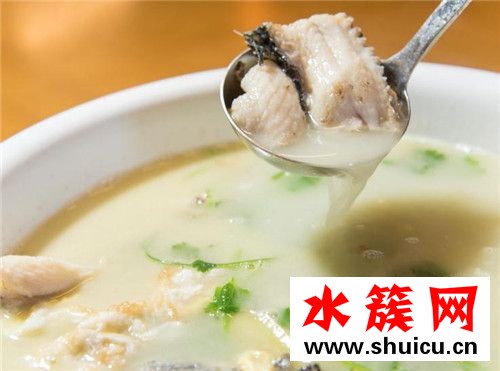 孕妇不能吃4种鱼的图片