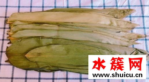 包粽子粽叶老烂怎么办