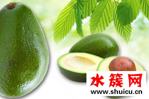 宝宝便秘能吃牛油果吗