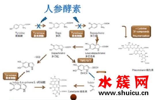 老牌国货美白黑科技，国潮护肤新榜样