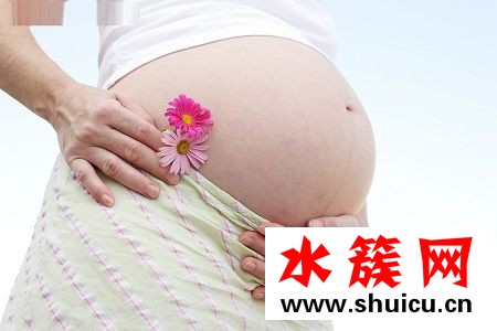 孕妇吃羊肉的好处
