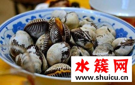 贝壳类是干垃圾吗