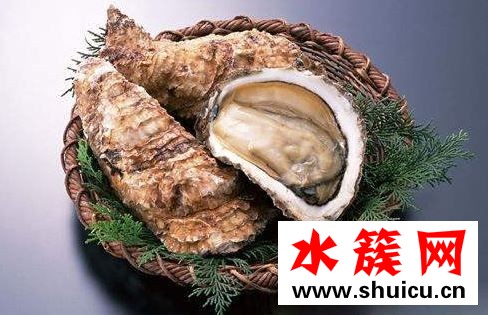 生蚝属于干垃圾吗