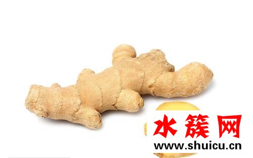 生姜敷肚脐能减肥吗