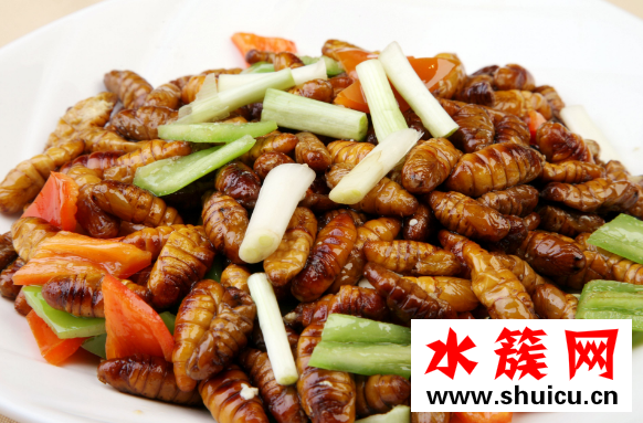 蚕蛹怎么做好吃
