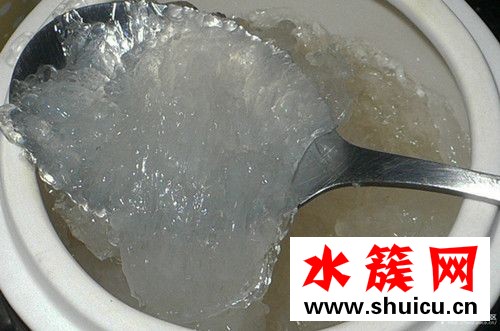 燕窝是怎么形成的