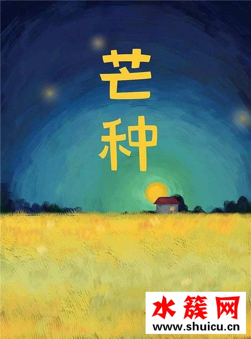 芒种节气如何养生