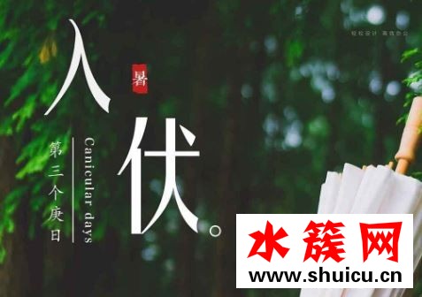 2019头伏是哪一天