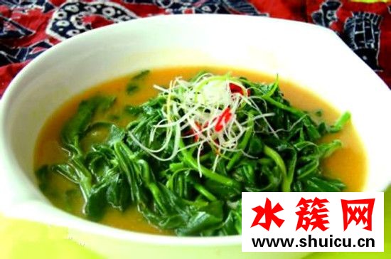 救心菜可以泡茶喝吗