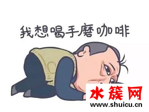 抖音苏大强之歌视频完整版哪里能看