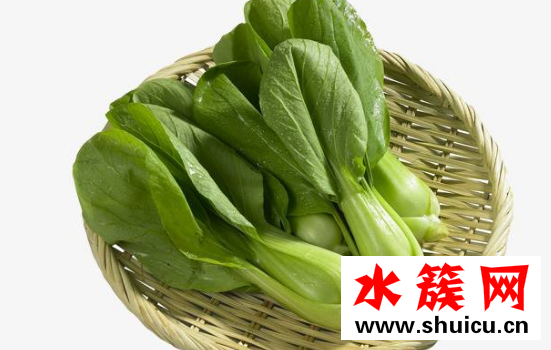 上海青的热量