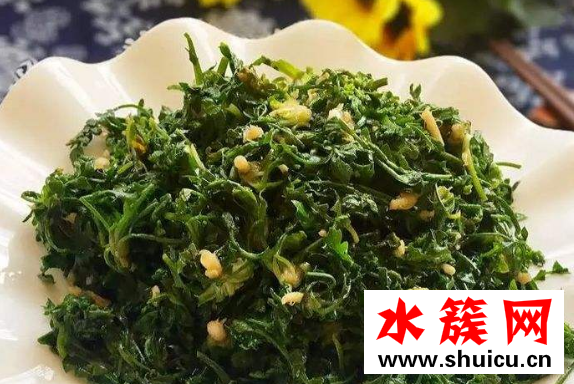 荠菜又叫什么菜