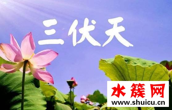 2019三伏天从什么时候开始