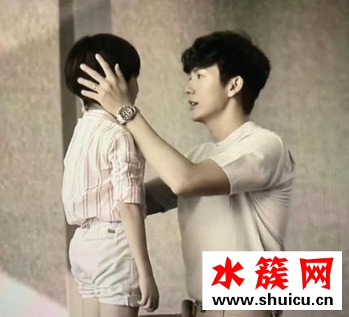 吹落的树叶电视剧一共多少集