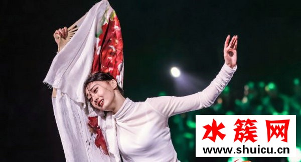 舞蹈风暴王雪柔个人资料