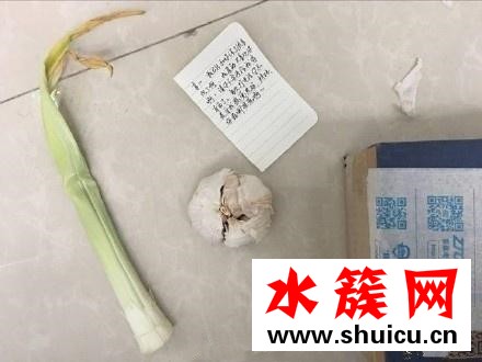 1葱1蒜是什么梗