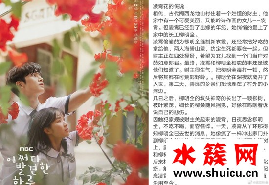 偶然发现的一天红色的花是什么