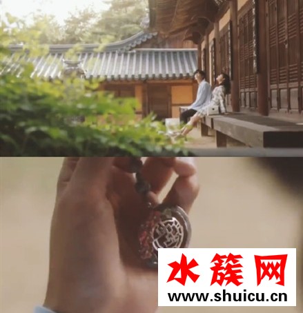 偶然发现的一天红色的花是什么
