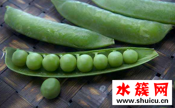 豌豆的热量