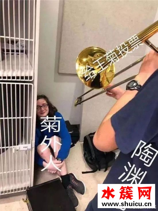 王菊为什么突然红了