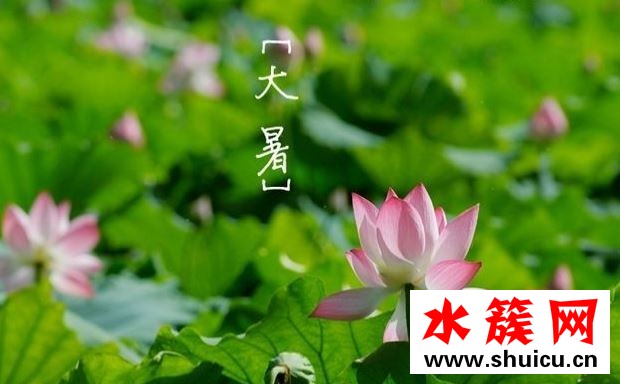 2019大暑几天