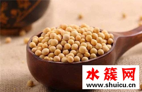 黄豆可以丰胸吗