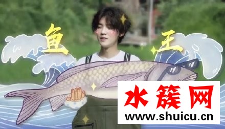 向往的生活鹿晗徒手抓鱼是第几期