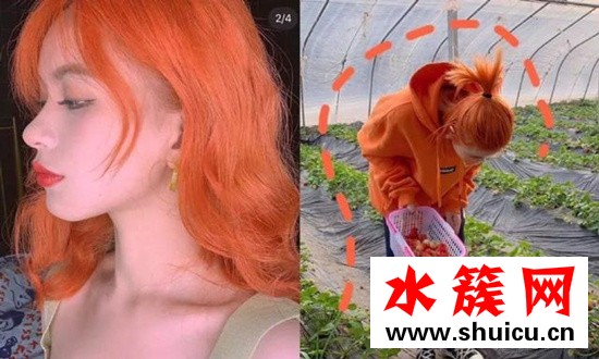 脏橘色适合黑黄皮吗