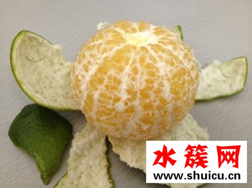 皇帝柑有籽吗
