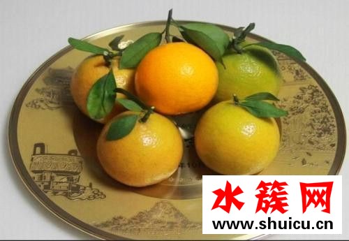 皇帝柑有籽吗
