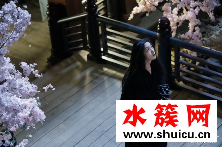 陈情令番外电影一共有几部
