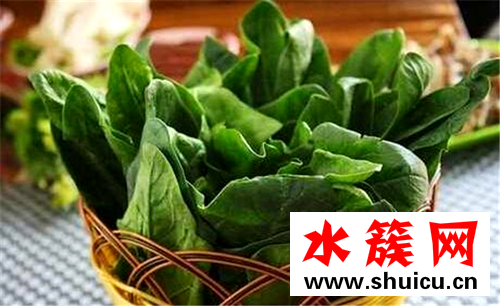 缺锌补锌的食物都有哪些