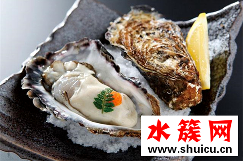 缺锌补锌的食物都有哪些