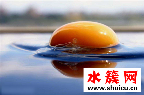 缺锌补锌的食物都有哪些