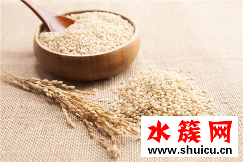 缺锌补锌的食物都有哪些