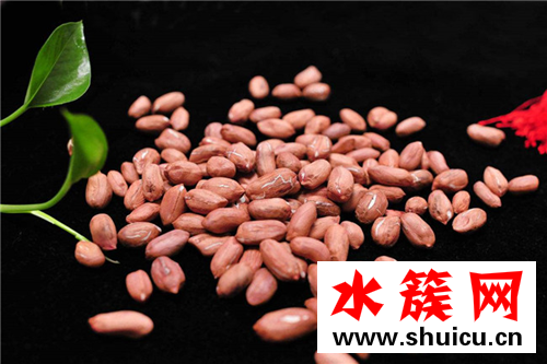 缺锌补锌的食物都有哪些