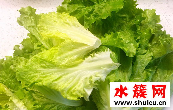 生菜可以生吃吗
