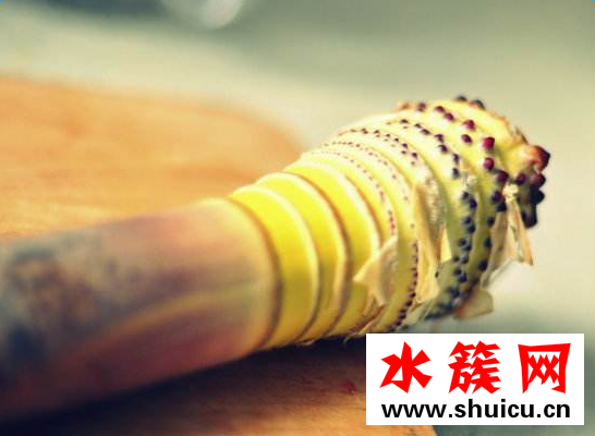 孕妇可以吃春笋吗 怀孕初期能吃春笋吗 春笋什么人不能吃
