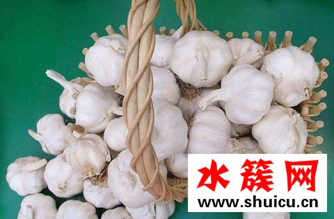 大蒜放枕头下面的功效