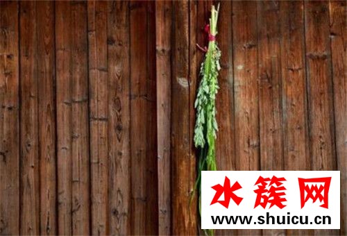 端午节门前为什么要挂艾草