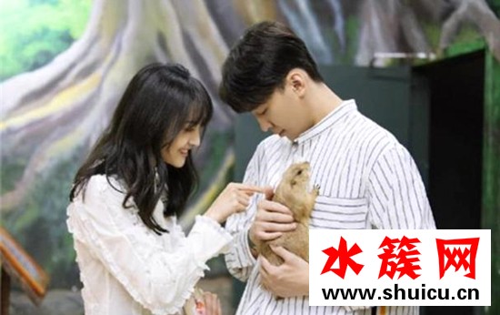 张恒郑爽疑似分手