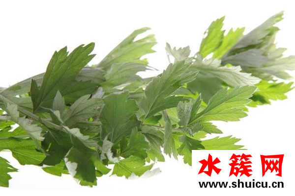 干艾草泡脚有什么作用？